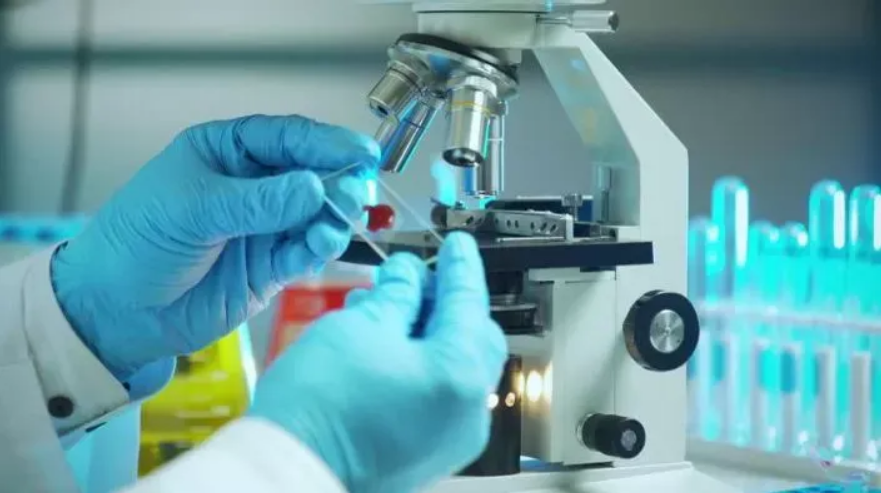 B.SC IN BIOTECHNOLOGY (MEDICAL LAB TECHNOLOGY) 